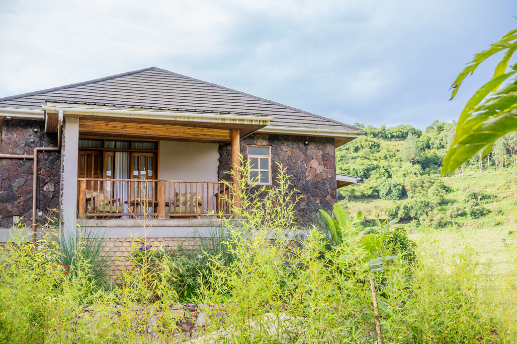 trekking in the Rushaga sector of Bwindi Impenetrable National Park.