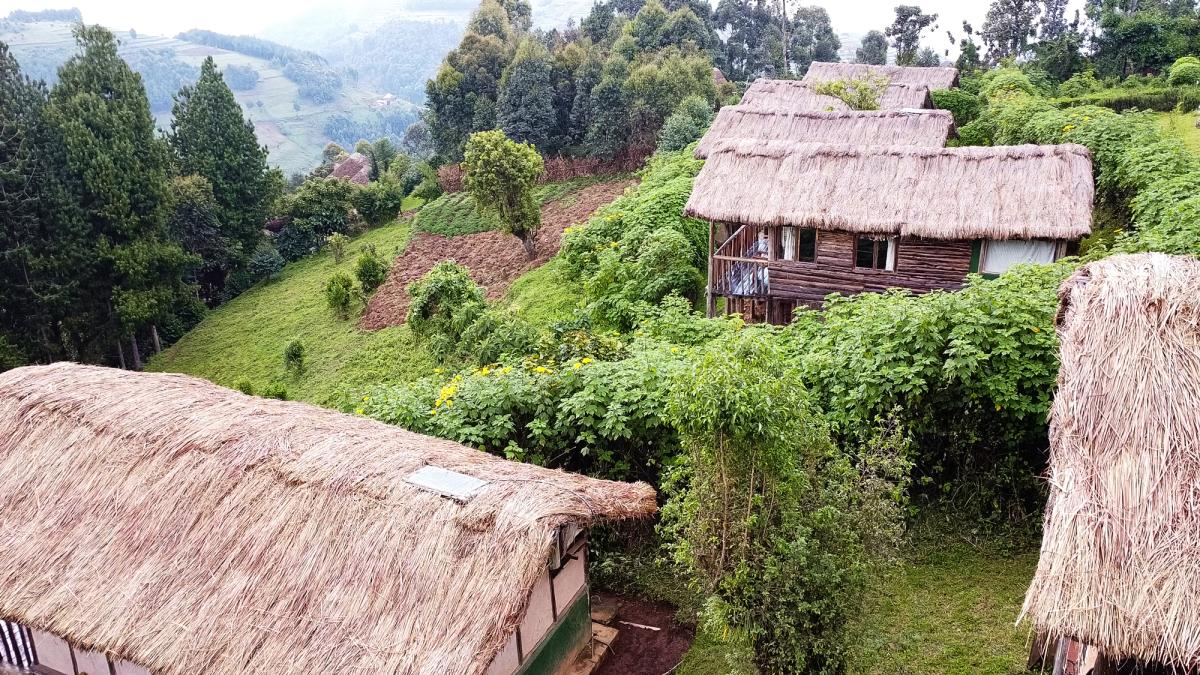Gorilla Mist Camp Aerial View