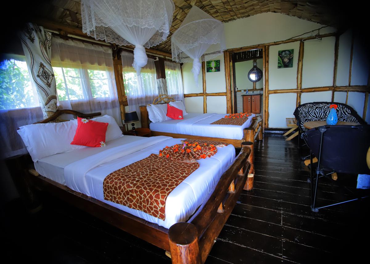 Gorilla Mist Camp Beds