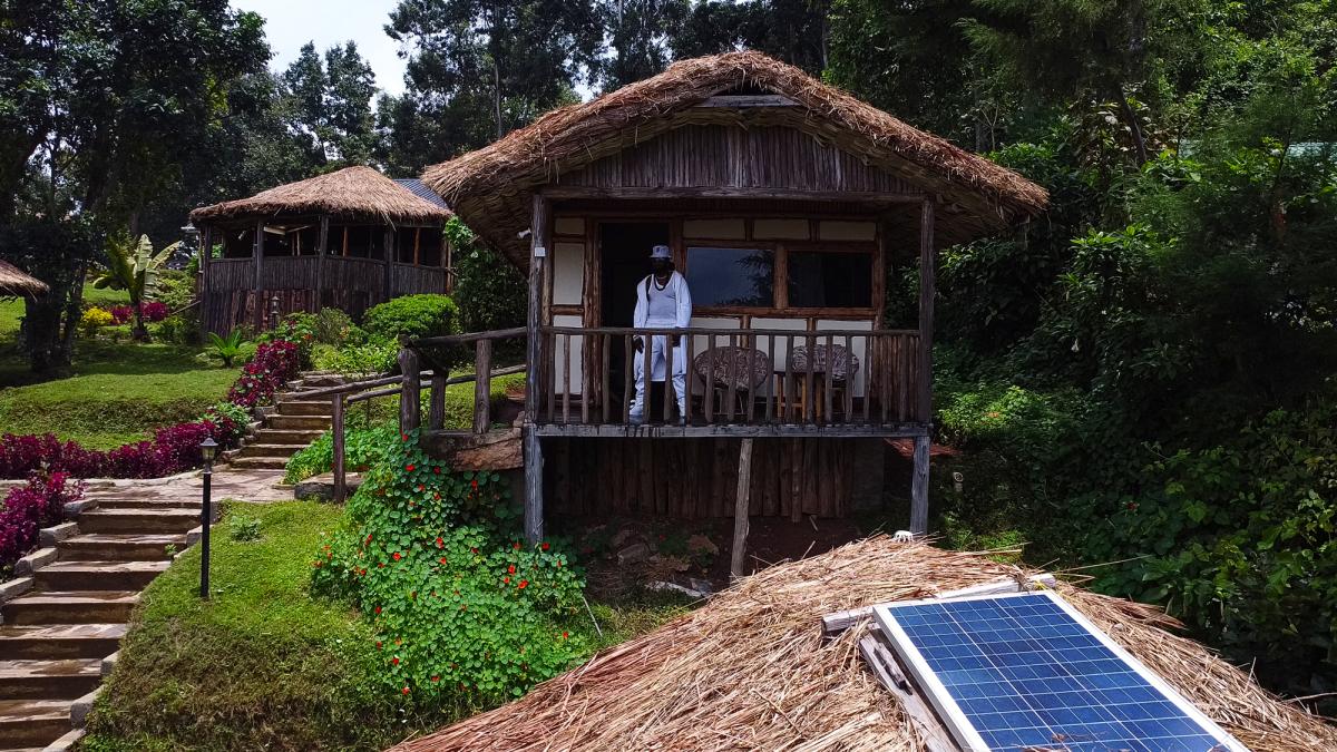 Gorilla Mist Camp Environment