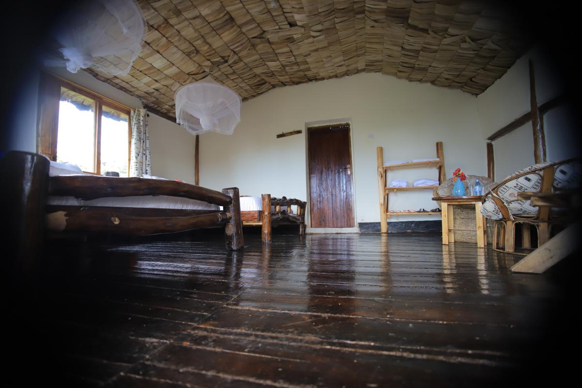 Gorilla Mist Camp Living Room