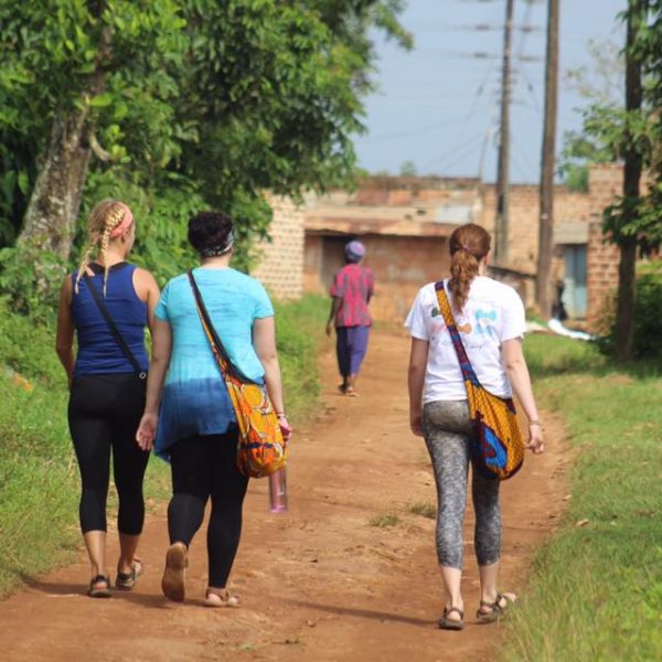 Guided Nature Walks in Bwindi Forest