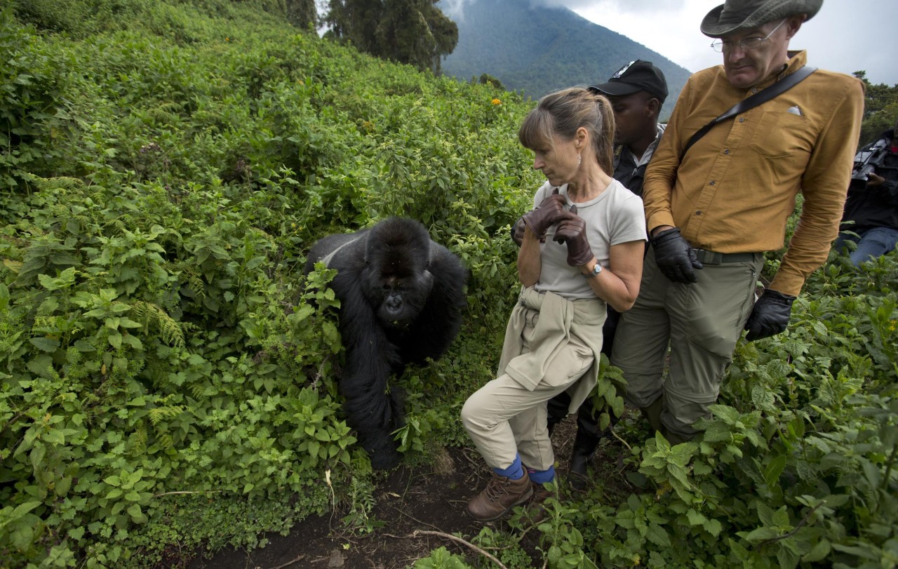 Is It Worth Hiring a Porter for Gorilla Trekking in Rwanda?