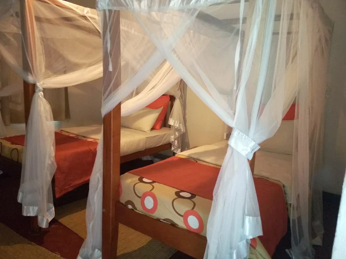 Gorilla Valley Lodge Bedroom