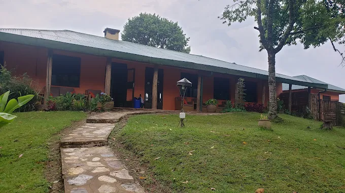 Gorilla Valley Lodge Living Room