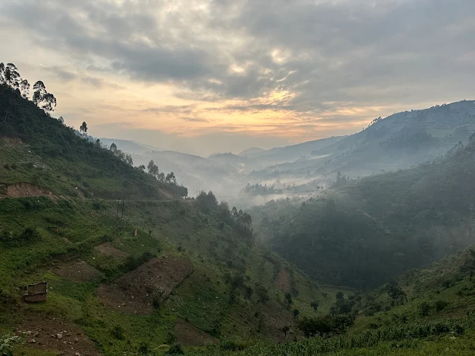 Morning mist at Gorilla Valley Lodge Bwindi