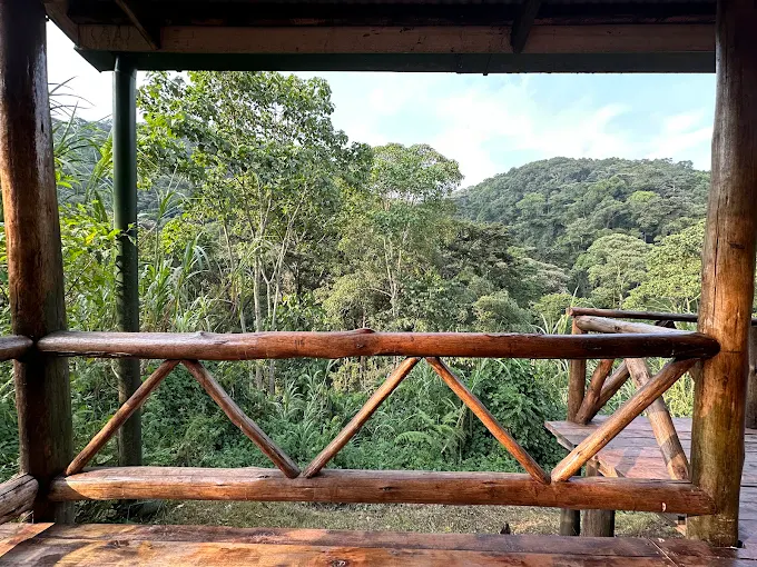 Nature around Gorilla Valley Lodge Bwindi