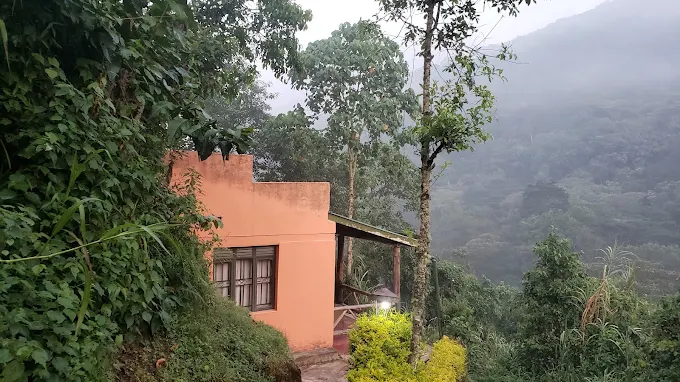 Gorilla Valley Lodge Side View