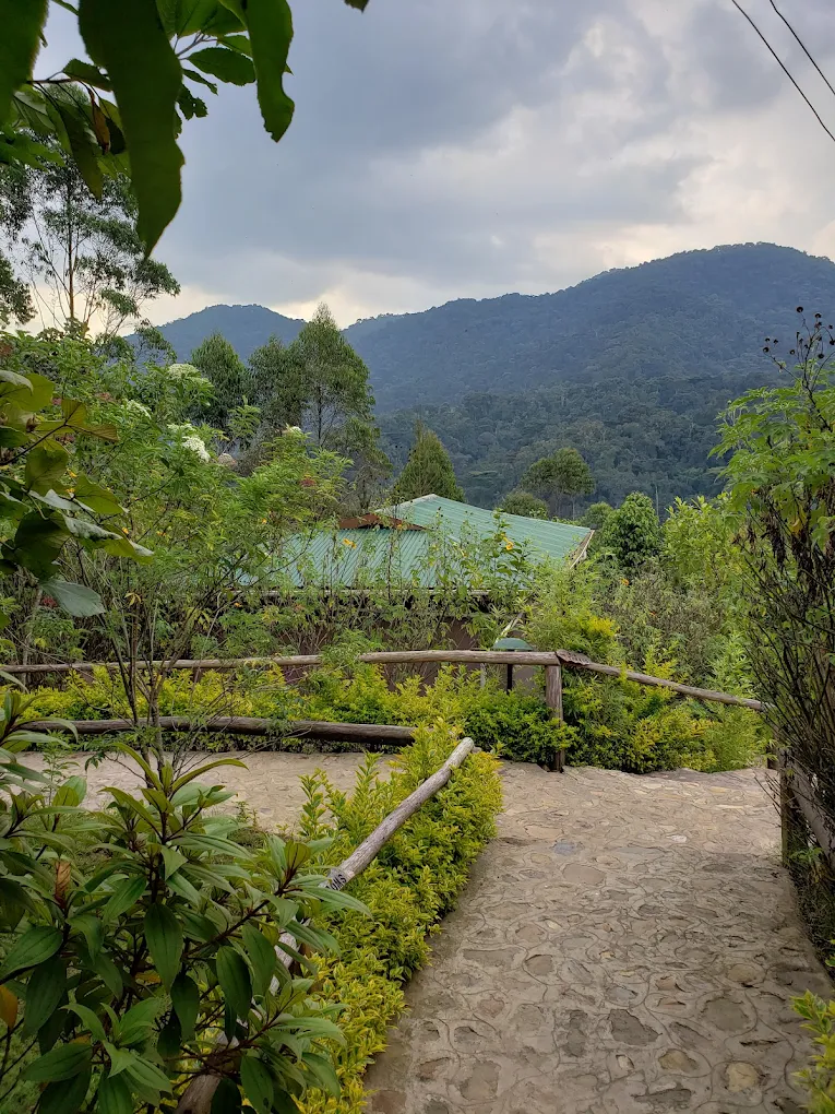 Ichumbi Gorilla Lodge Aerial View