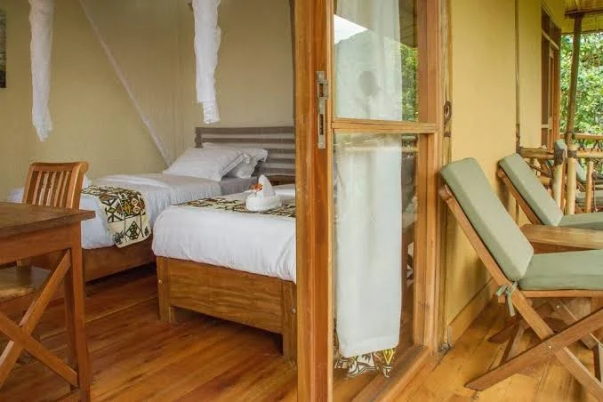 Ichumbi Gorilla Lodge Guest Rooms