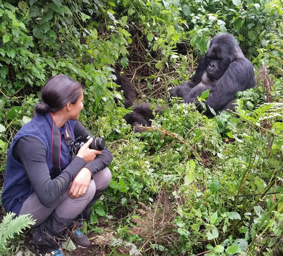 Interested In Gorilla Trekking in Uganda Book with Nextgen Safaris