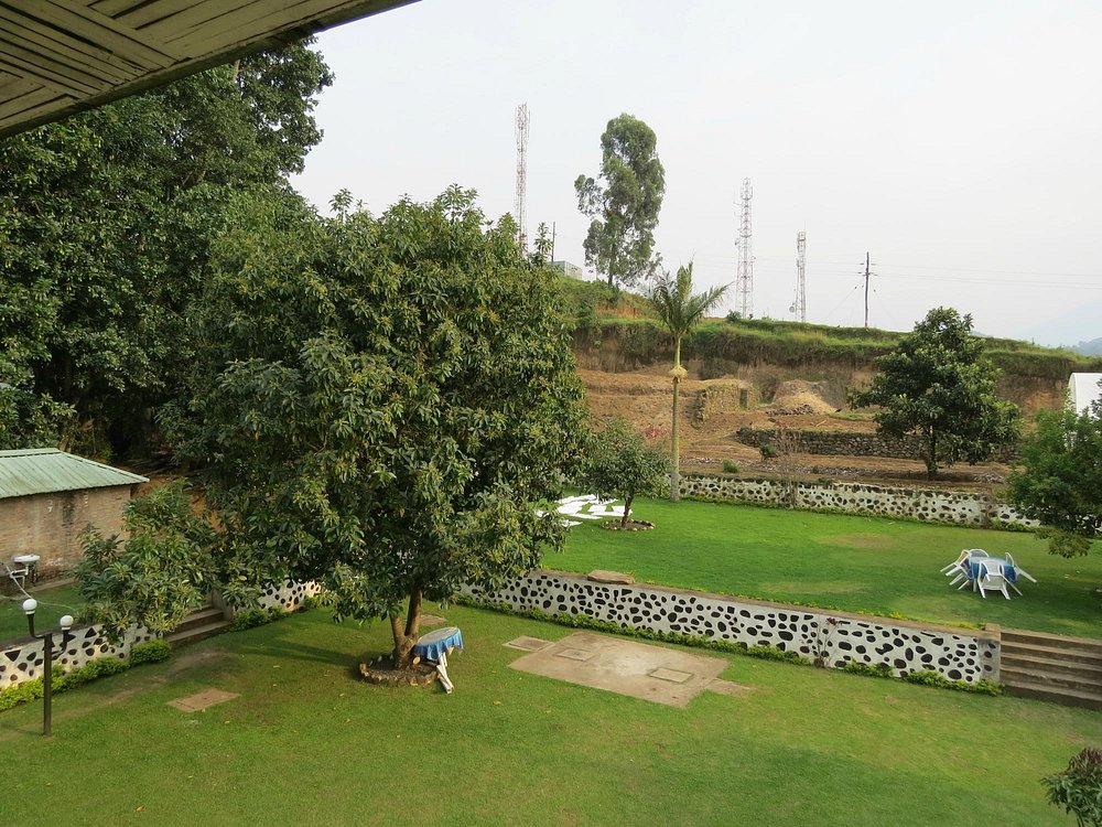 Uganda’s gorilla trekking destinations. Over the years, the