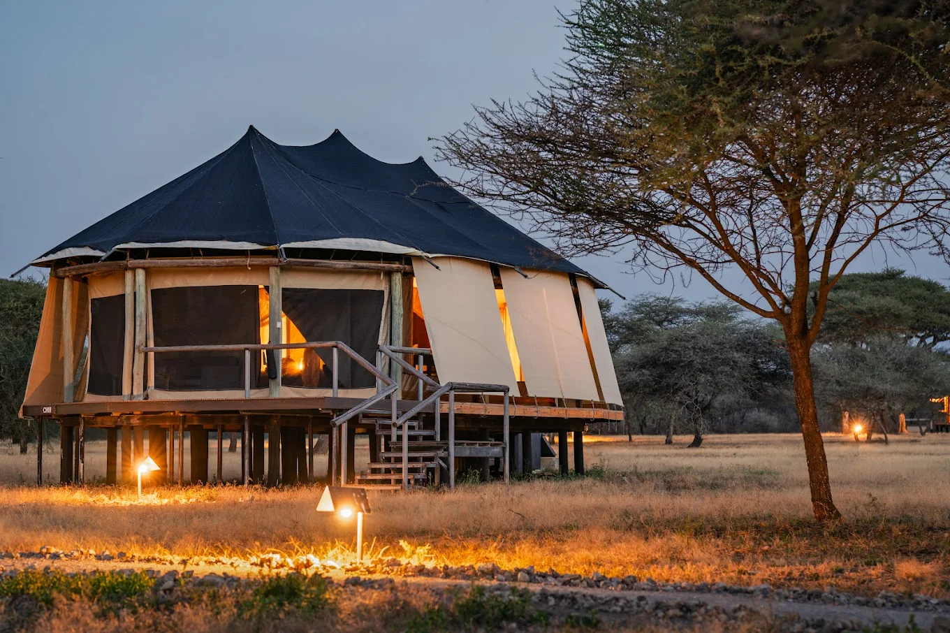 Best Lodges & Camps for the Great Migration
