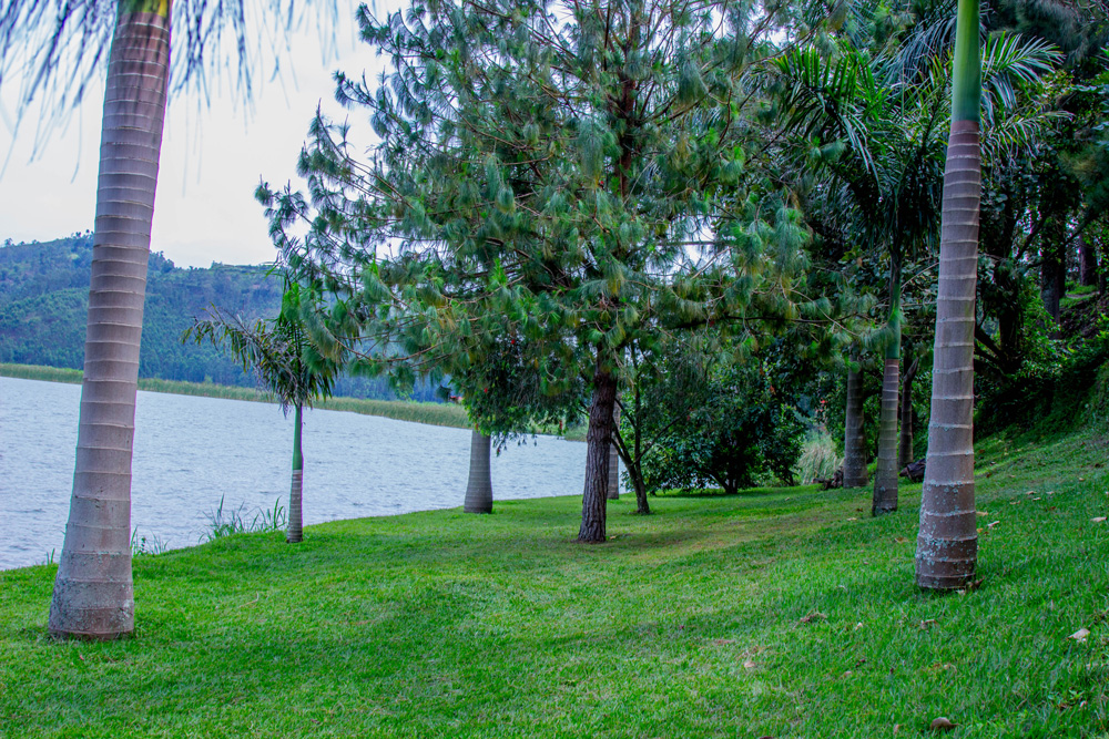 Lake Mulehe Scenic Water View
