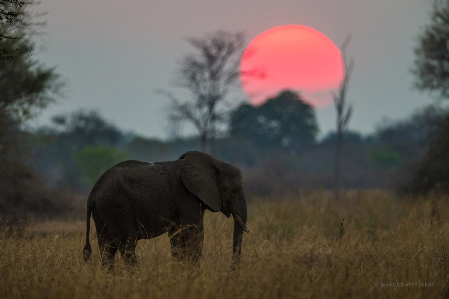 How to Get to Luambe National Park