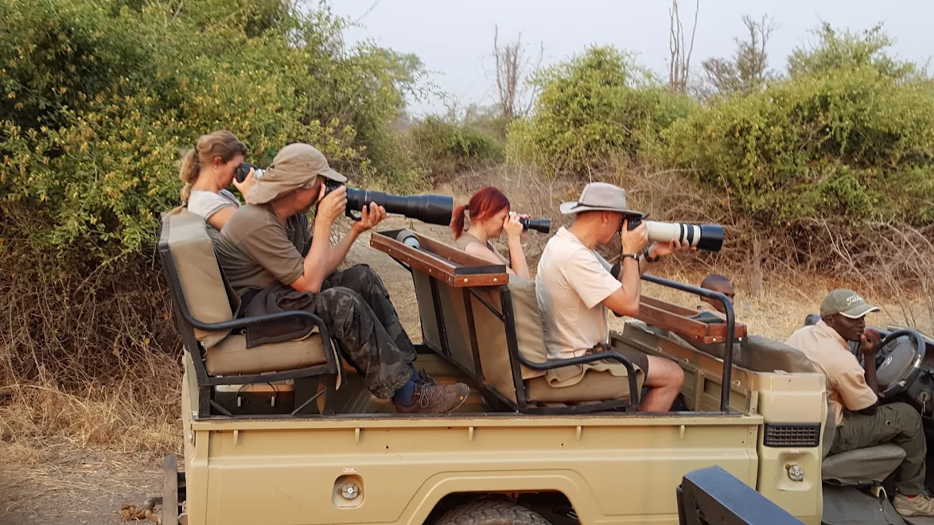 Best Safari Activities in South Luangwa National Park
