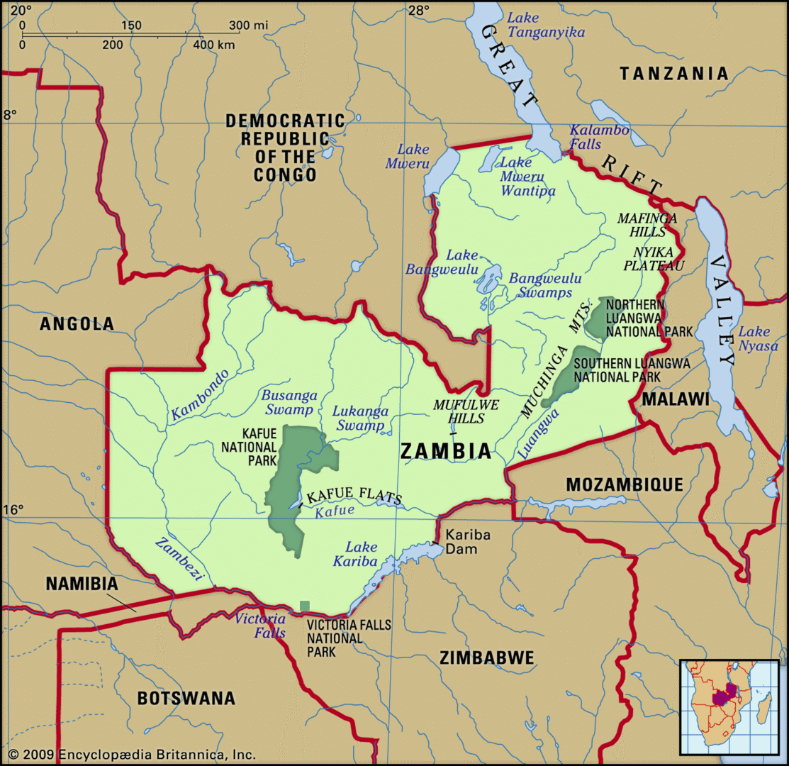 The Luangwa River Floodplain Ecosystem
