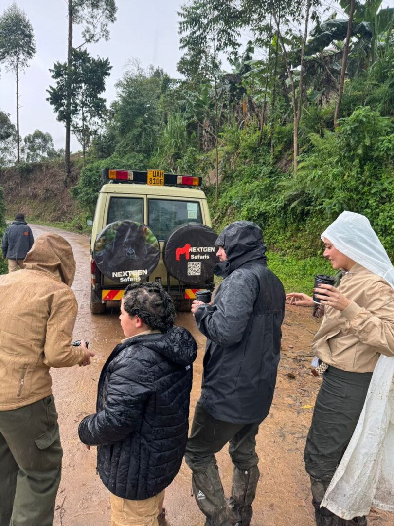 Nextgen Best Safaris Gorilla Experience