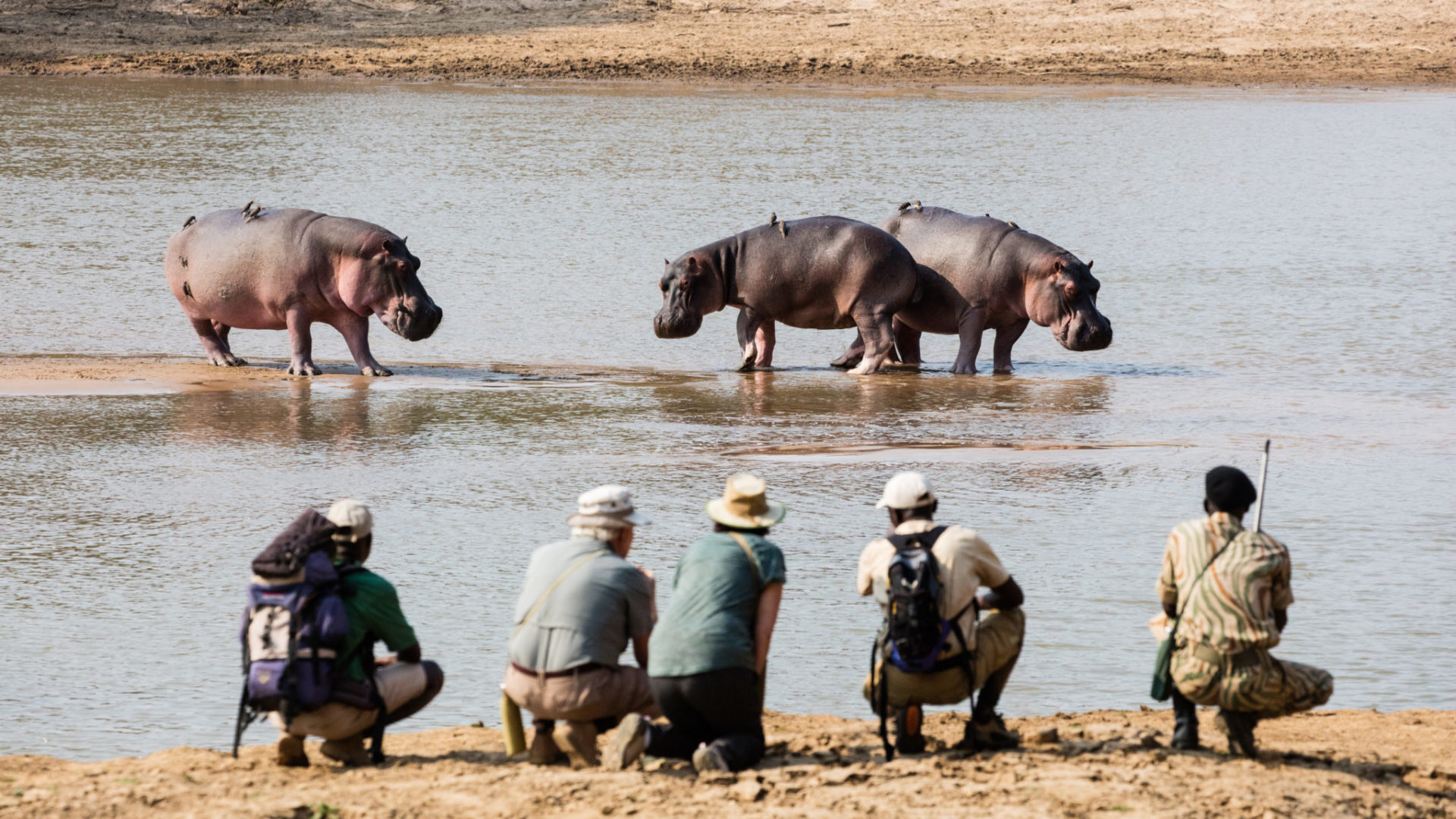Wildlife in North Luangwa National Park