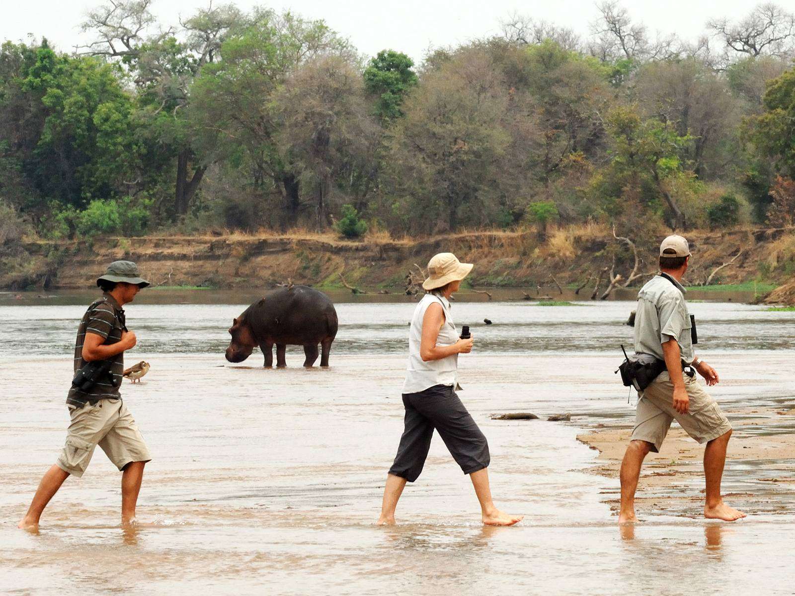Frequently Asked Questions About South Luangwa National Park