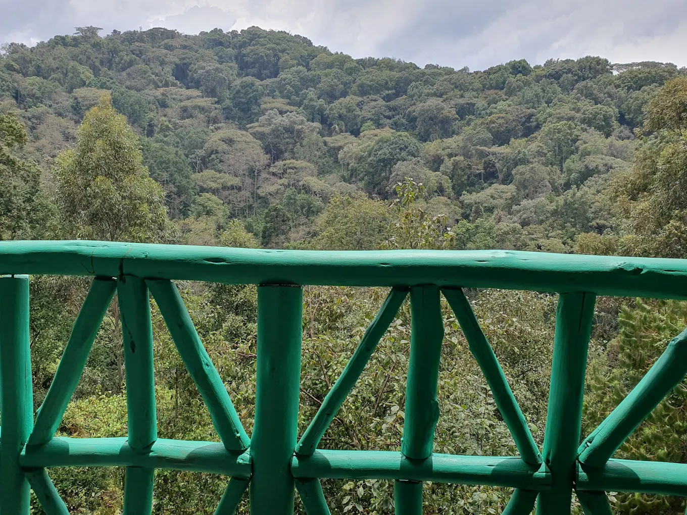 The lodge was established to provide travelers with an accessible place to stay while ensuring that tourism revenue directly benefits nearby communities and conservation initiatives.