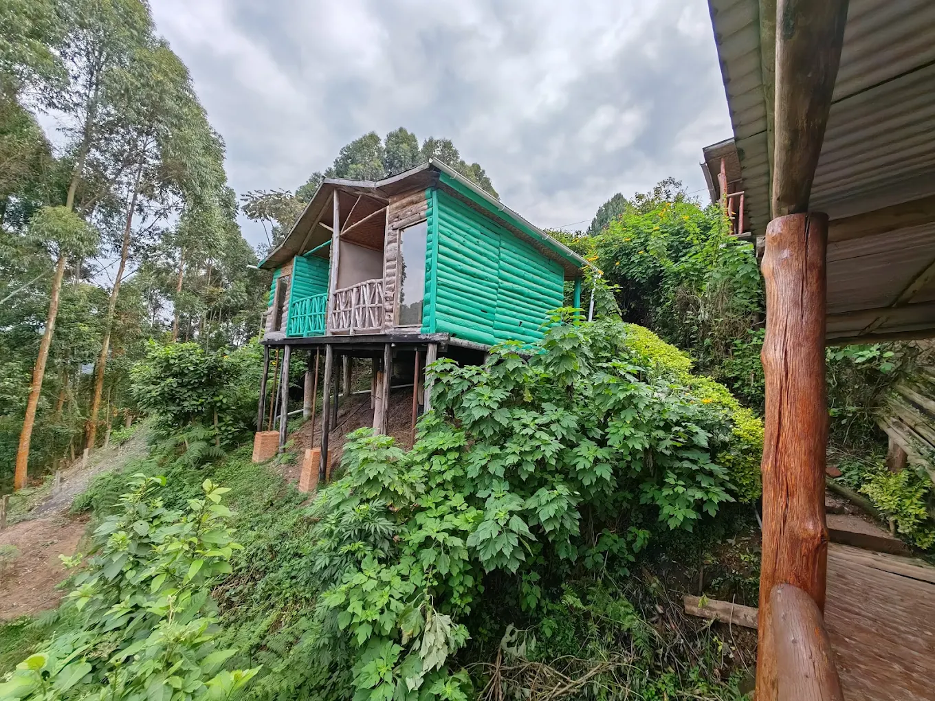 Ruhija Community Rest Camp Natural Environment