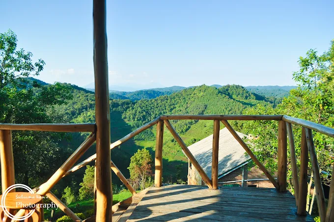 Balcony View at Ruhija Gorilla Safari Lodge