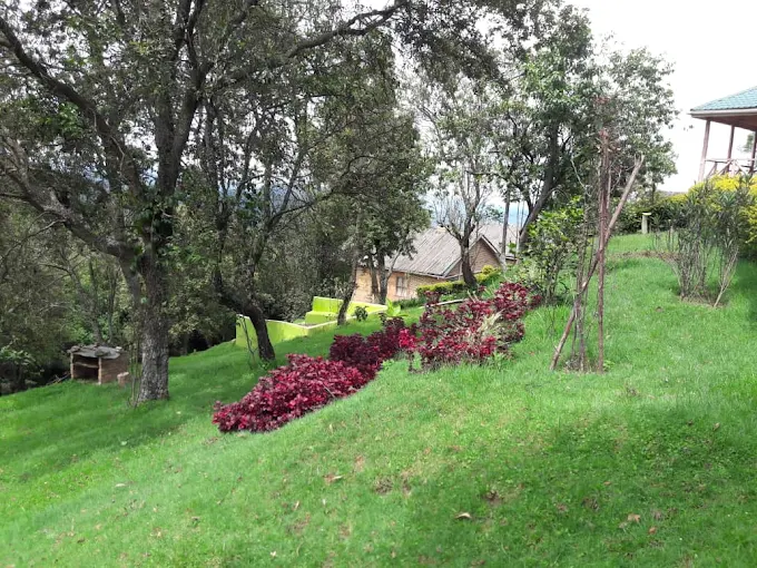 Ruhija Gorilla Safari Lodge Compound