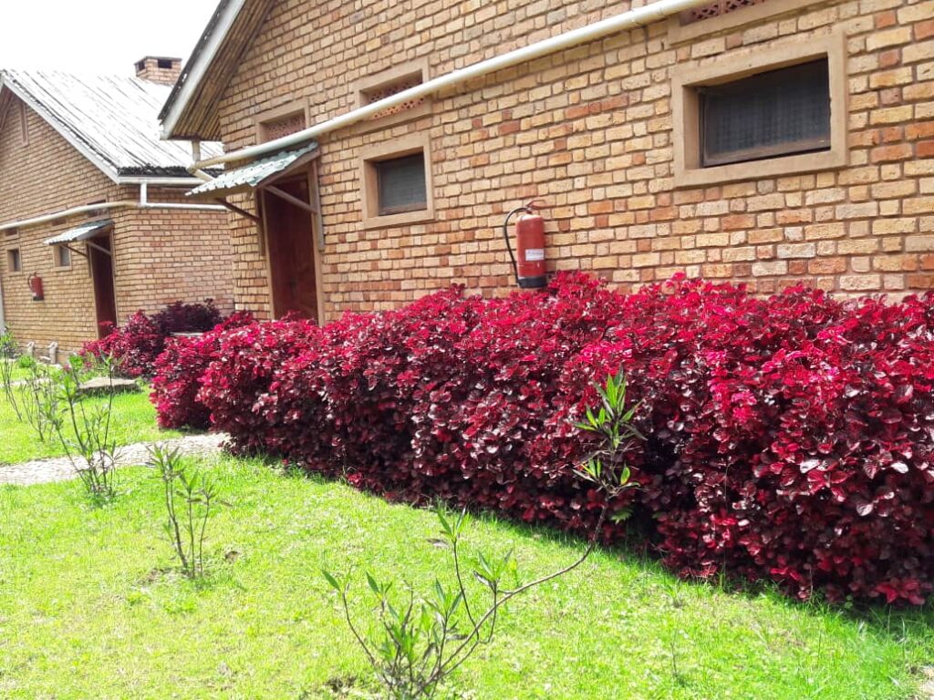 Ruhija Gorilla Safari Lodge Family Cottages