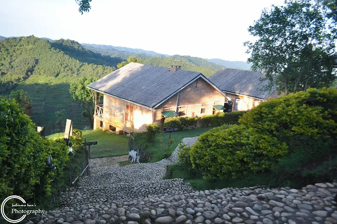 Ruhija Gorilla Safari Lodge Upper View