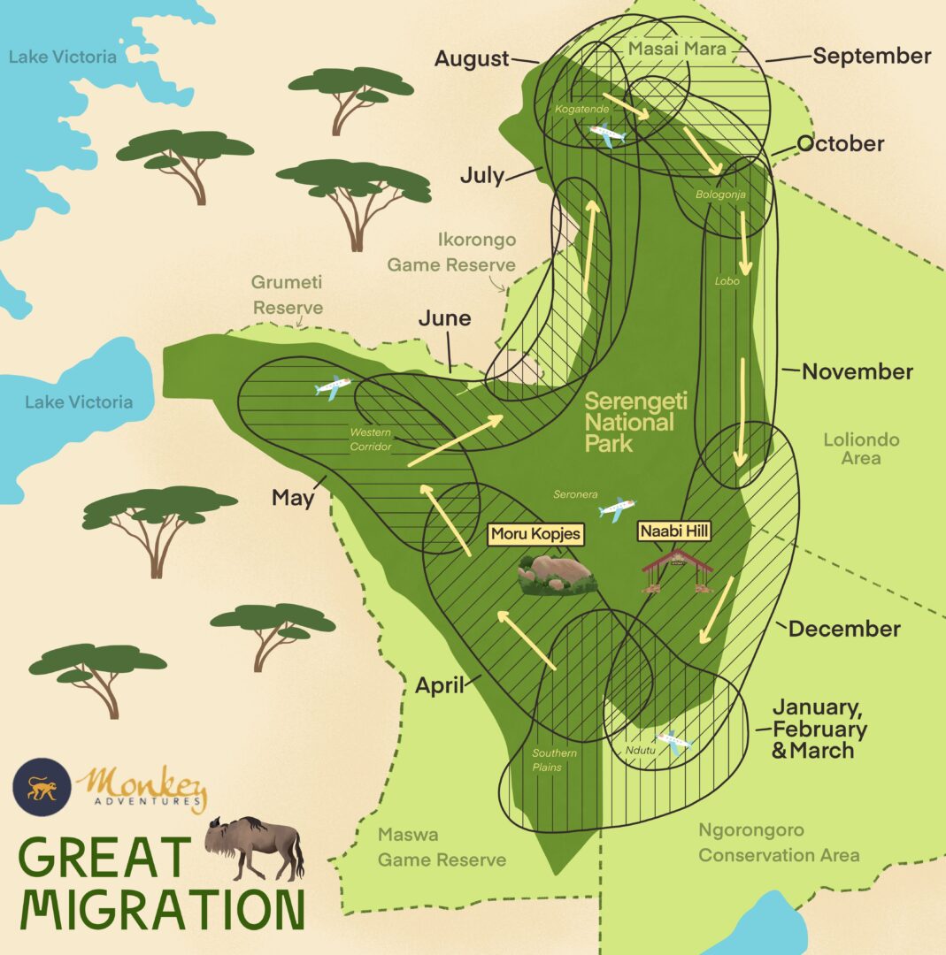Understanding the Serengeti Migration Calendar
