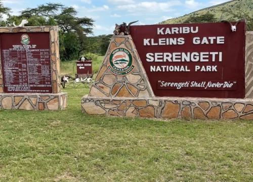 8 Days Zanzibar Beach and Tanzania Safari Tour | Tarangire, Ngorongoro Crater & Serengeti