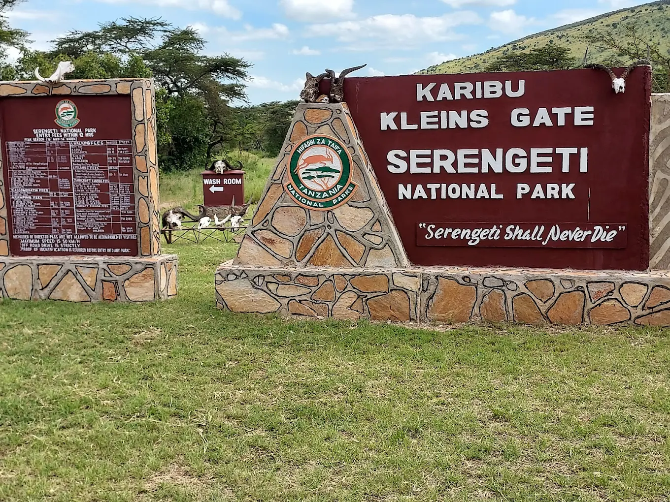 Best Tanzania Parks to Combine with Gorilla Trekking