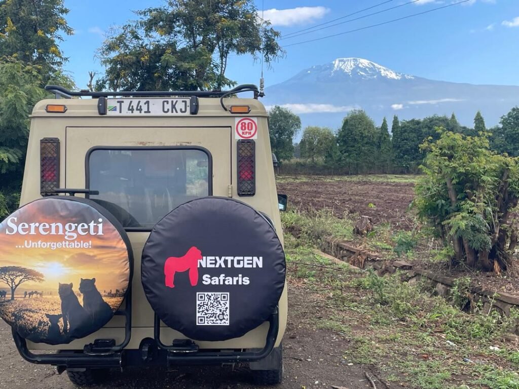 East African Luxury Honeymoon