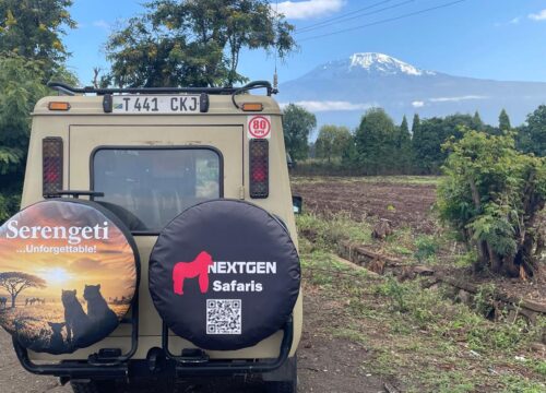 Absolutely Perfect 7 Days Tanzania Big Five Tour.