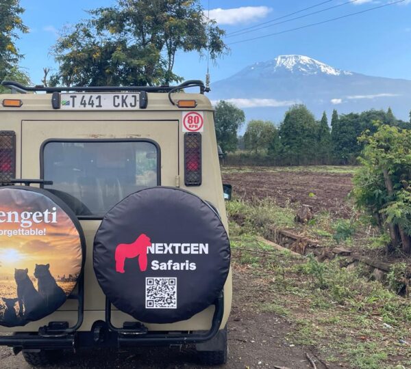 Destination Management Services in Uganda