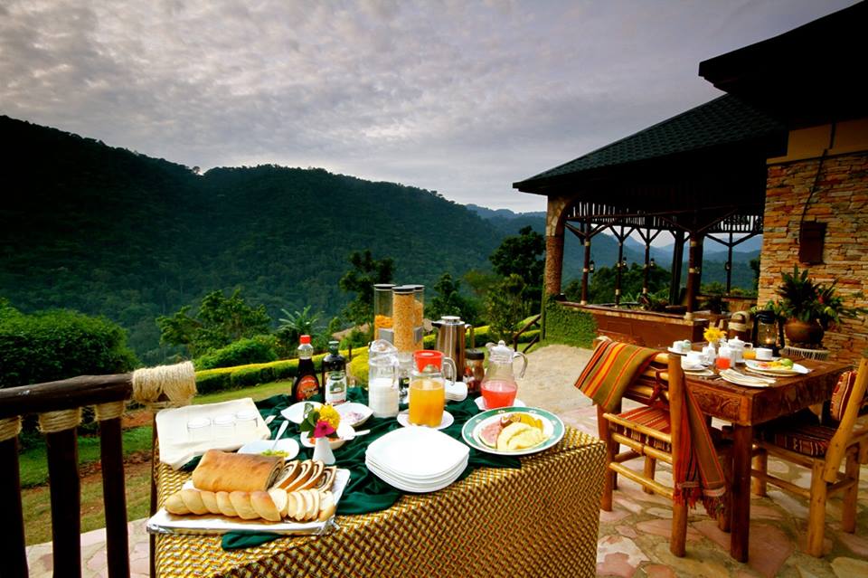 Silverback Lodge Bwindi forest view