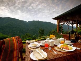 Silverback Lodge Meals Experience