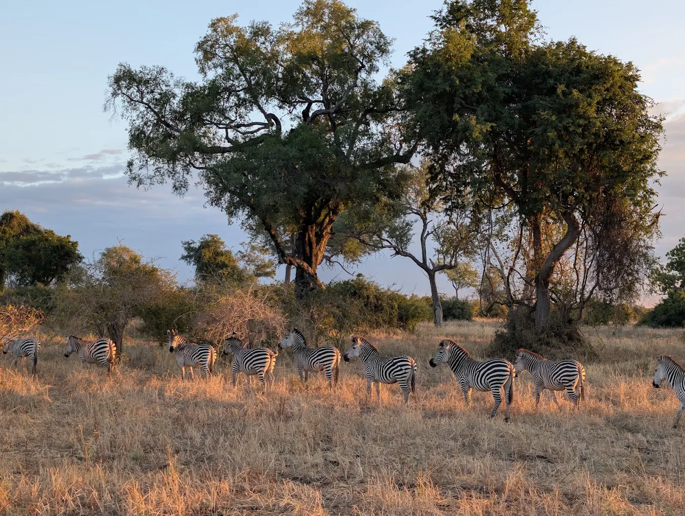 Landscapes and Ecosystems of South Luangwa National Park