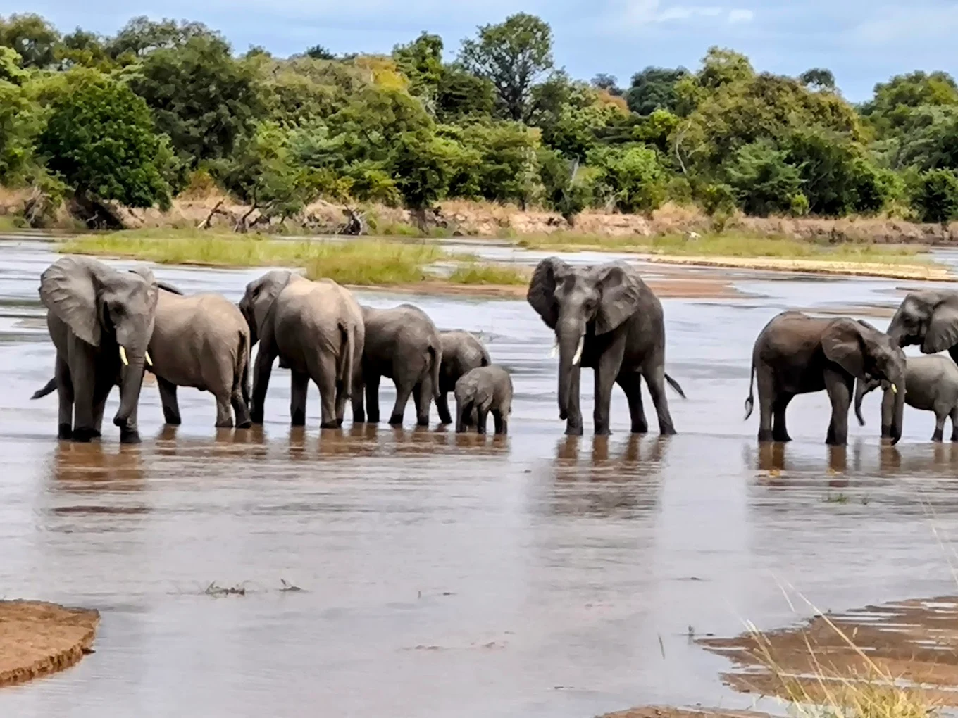 Best Time to Visit South Luangwa National Park