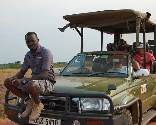 Safari experience in Queen Elizabeth National Park Uganda wildlife