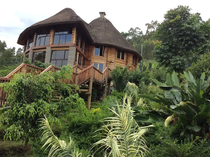 Trackers Safari Lodge Bwindi forest view