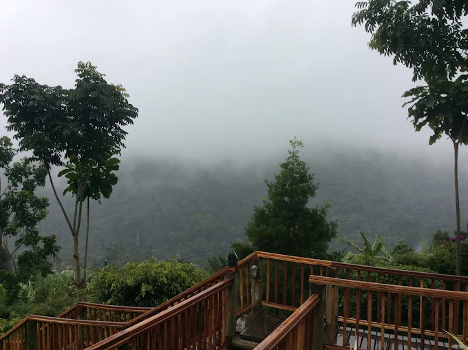 Unlike many lodges located in the southern sectors of Bwindi such as Rushaga or Nkuringo, Trackers Safari Lodge specificall