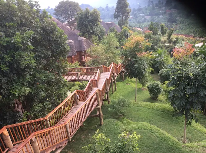 Trackers Safari Lodge compound view Bwindi