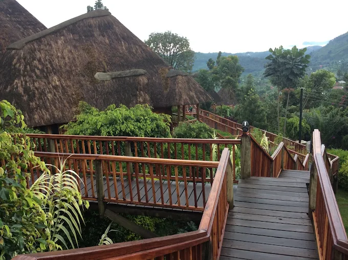 Trackers Safari Lodge outside view Bwindi