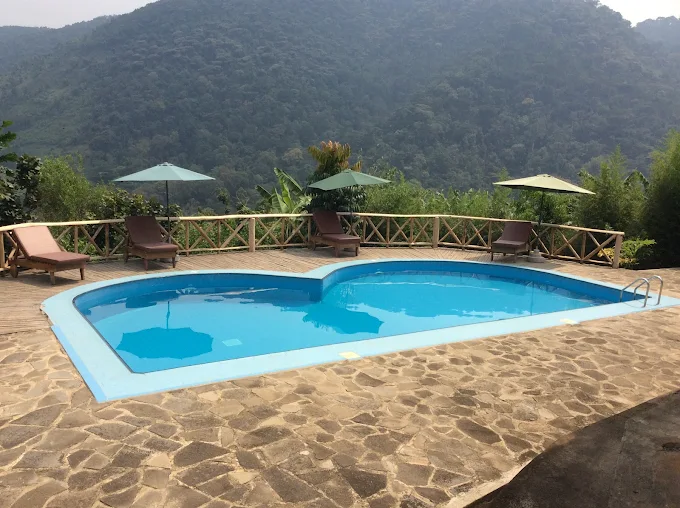 Swimming pool at Trackers Safari Lodge Bwindi