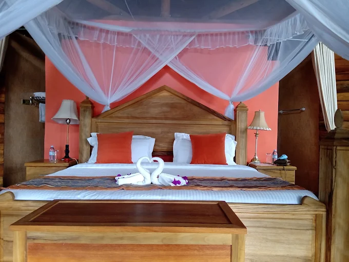 Trackers Safari Lodge room interior