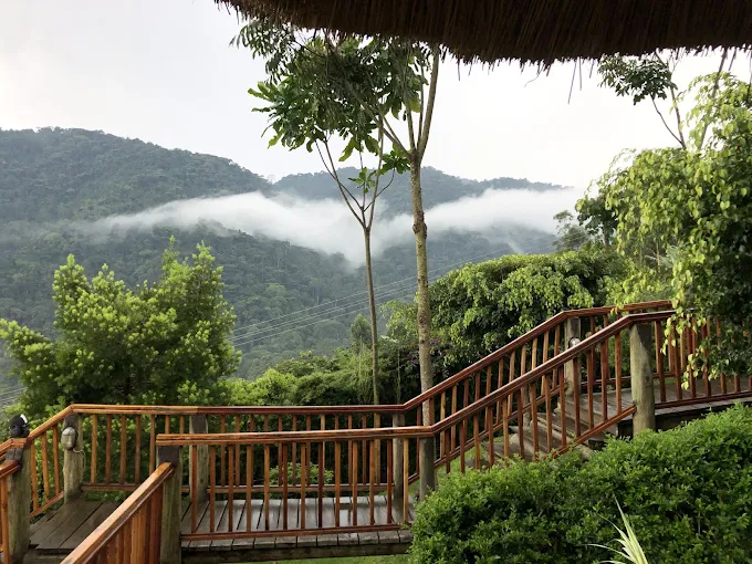 Trackers Safari Lodge Bwindi view