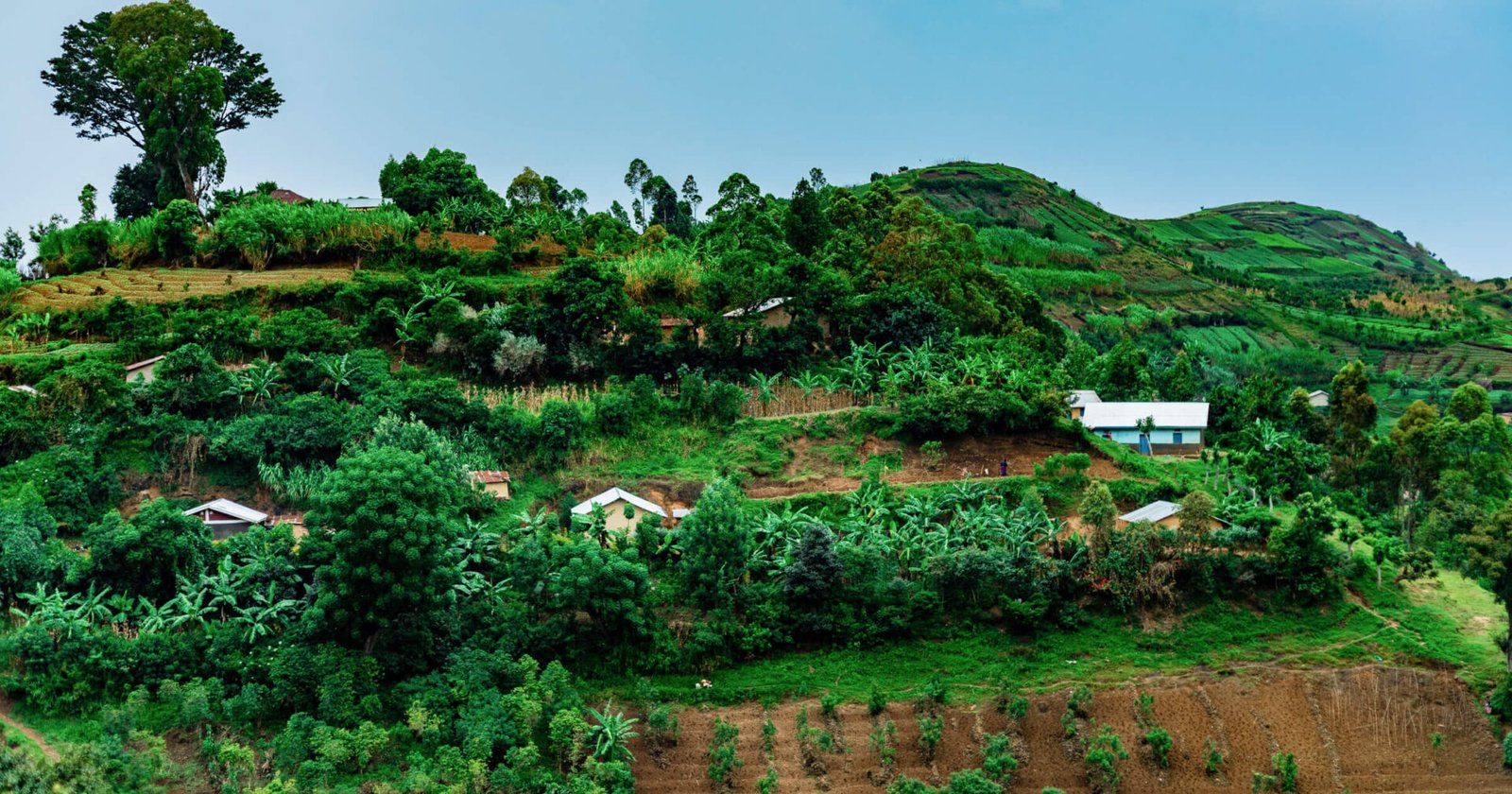 Scenic aerial views of Uganda during a fly-in safari experience