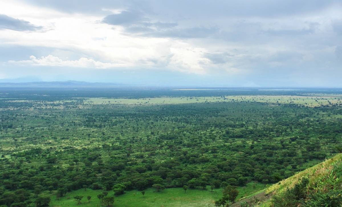 Uganda Gorilla Trekking Fly In Safari